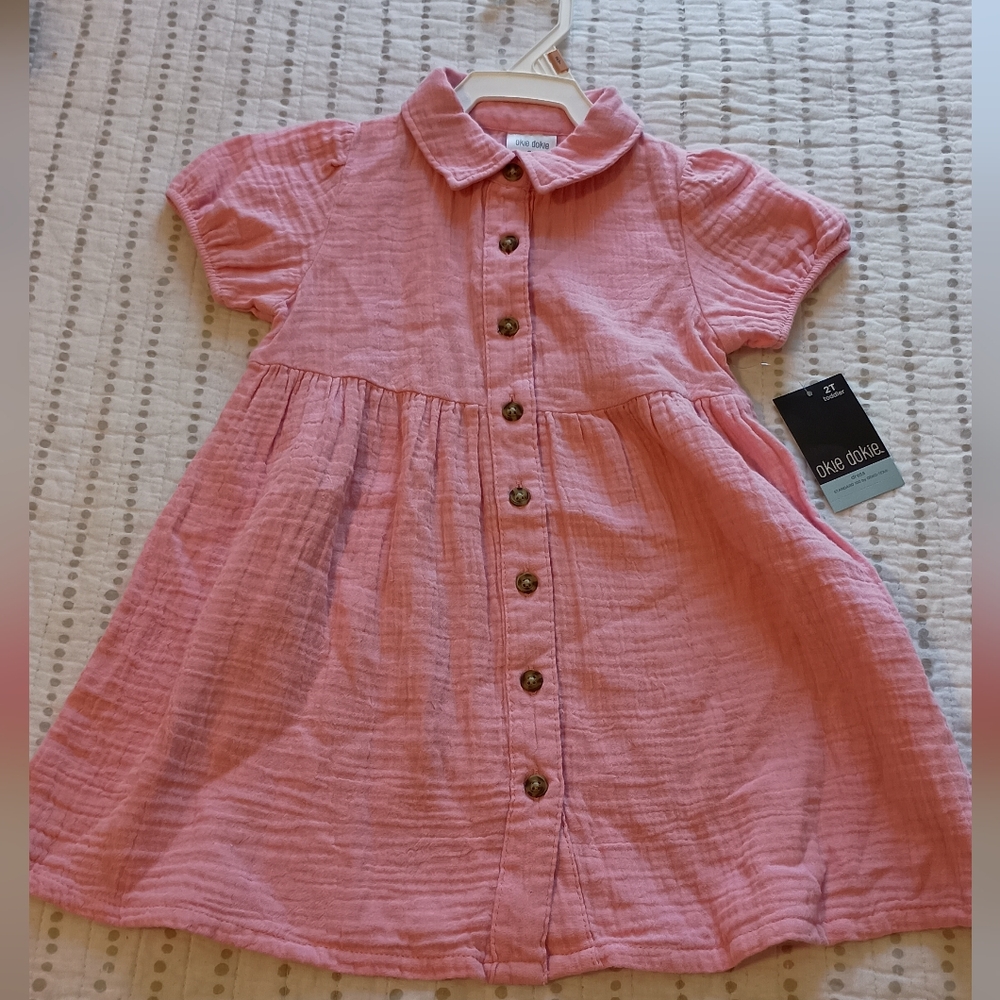 Darling Pink Button Up Dress NWT
